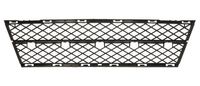 Ventilatiegrille, bumper 6502070066993P