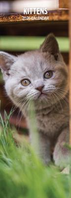 Kittens Kalender 2026 Slimline