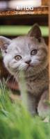 Kittens Kalender 2026 Slimline