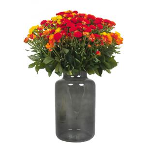 Bloemenvaas Milan - transparant smoke grijs glas - D15 x H25 cm - melkbus vaas met smalle hals   -