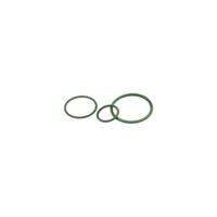 LAPP 52023603 SKINDICHT O-RING PG 16/20X1,5 VITON Dichtring PG16 Nitril-butadieen rubber Groen 50 stuk(s)