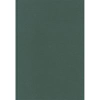 Blanco Notitieboek A4 Groen - thumbnail