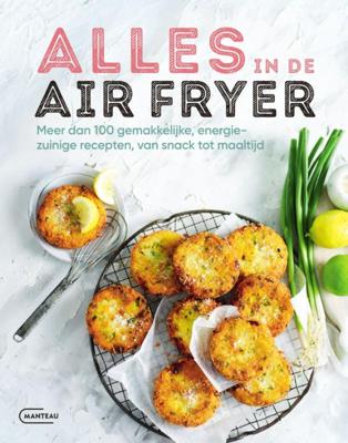 Alles in de airfryer (Paperback)