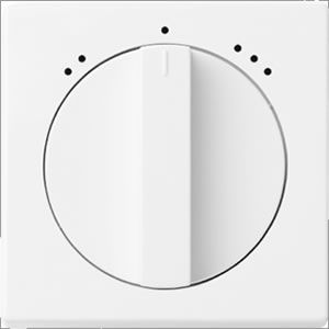 Busch-Jaeger centraalplaat 1740 DRL-82-503 ivoorwit