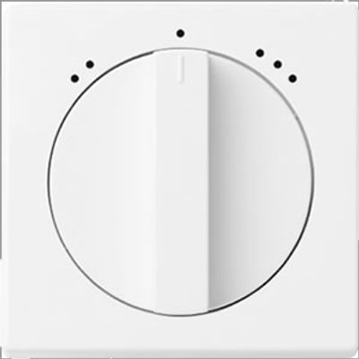 Busch-Jaeger centraalplaat 1740 DRL-82-503 ivoorwit