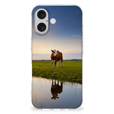 iPhone 16 plus | TPU Hoesje | Koe