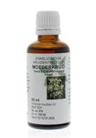 Cruydhof tanacetum part/moederkruid
