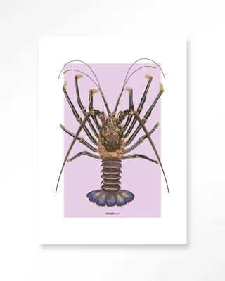 Langosta