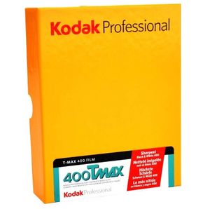 Kodak TMY 400 4x5" 10 vel