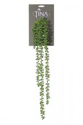 Kunsthangplant Senecio l70cm groen header