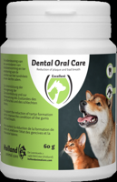 Dental Oral Care Hond & Kat
