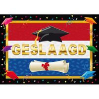 Deurposter geslaagd Nederlandse vlag 59 x 42 cm - thumbnail