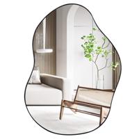 78 x 56 cm Stijlvolle Asymmetrische Vorm Wandspiegel Premium Achterpaneel met Expansieschroeven Decoratieve Wandspiegel