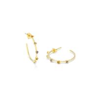 Dames oorbellen Radiant RY000002 Roestvrij staal 1,5 cm