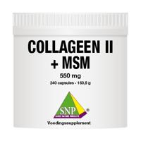 SNP Collageen II + MSM