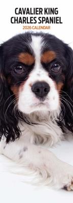 Cavalier King Charles Spaniel Kalender 2026 Slimline