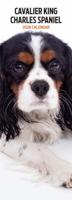 Cavalier King Charles Spaniel Kalender 2026 Slimline