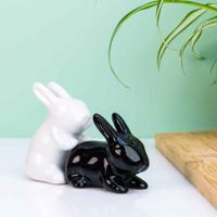 Konijnen peper- en zoutstel