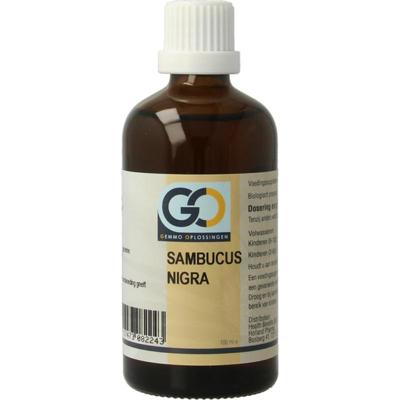 GO Sambucus nigra bio GO Sambucus nigra bio