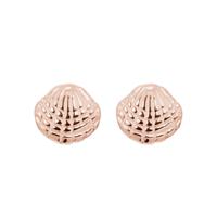 iXXXi Oorbellen Shell Rosé