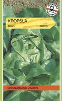 Kropsla - thumbnail