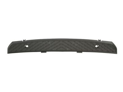 Plaat, bumper 6509013547920P