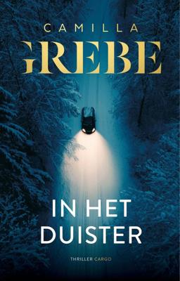 In het duister - Camilla Grebe - ebook
