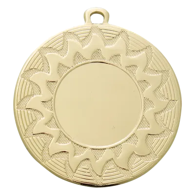 Sportprijzen Leiden Medaille ME.104 Sportprijzen Leiden Medaille ME.104