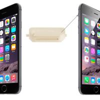 Originele Mute Switch Vibrator-toets voor iPhone 6 & 6 Plus(Gold)