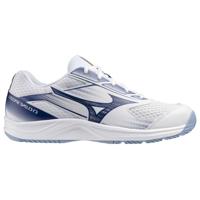 Mizuno Cyclone Speed 5 Indoorschoenen SR 42
