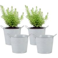 Emmer/plantenpot/bloempot - 4x - zink - whitewash - D16 x H14 cm