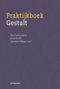 Praktijkboek Gestalt (Paperback)