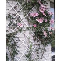 Groen plastic stretch mesh - 100x200cm - thumbnail