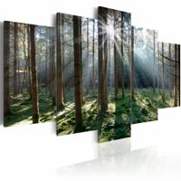 Schilderij - Sprookjesbos, Groen/Bruin, 5luik , premium print op canvas