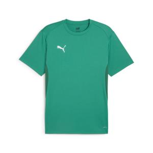 PUMA teamGOAL Voetbalshirt Groen Wit