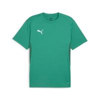 PUMA teamGOAL Voetbalshirt Groen Wit