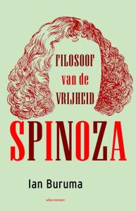 Spinoza (Paperback)
