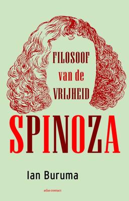 Spinoza (Paperback)
