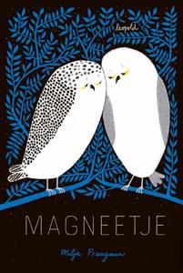 Magneetje (Hardback)