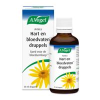 A Vogel Arnica hart en bloedvaten A Vogel Arnica hart en bloedvaten