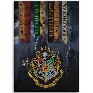 Harry Potter Fleece deken Zweinstein - 100 x 140 cm - Multi