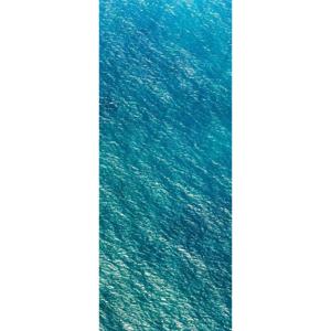 Fotobehang - Blaupause 100x250cm - Vliesbehang