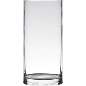 Glazen bloemen cylinder vaas/vazen 30 x 12 cm transparant - Vazen