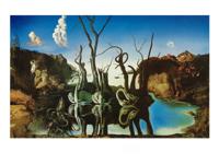Kunstdruk Salvador Dali - Reflections of Elephants 80x60cm