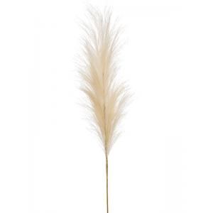 Pampas Cream 115 cm kunsttak per 1 stuks