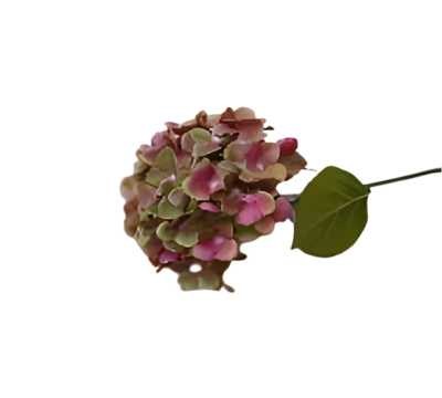 Kunst hortensia tak groen roze 62 cm - Buitengewoon de boet