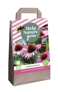 1 Tas 10 Echinacea Purpurea - Help Nature Grow