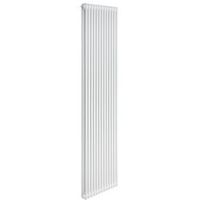 Plieger Florence 7253349 radiator voor centrale verwarming Metallic, Zilver 2 kolommen Design radiator