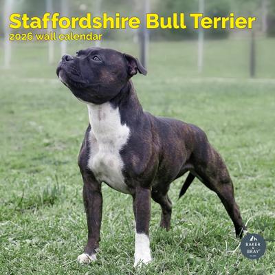 Staffordshire Bull Terrier Kalender 2026