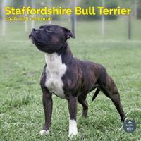 Staffordshire Bull Terrier Kalender 2026